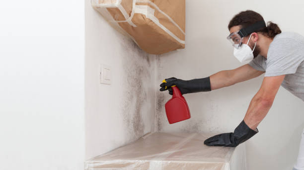 Professional Black Mold Remediation technician working in White Stone, VA