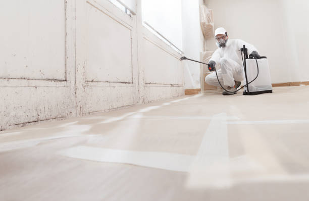 24/7 Emergency Black Mold Remediation experts in White Stone, VA